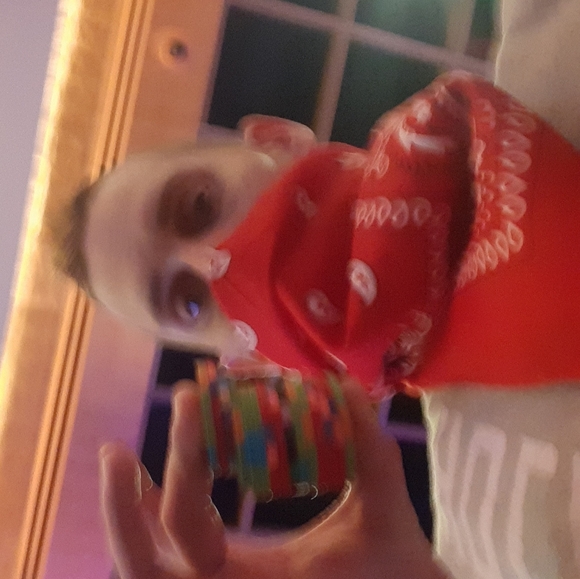 Meet your Posher, Joey - Picture 2 of 6